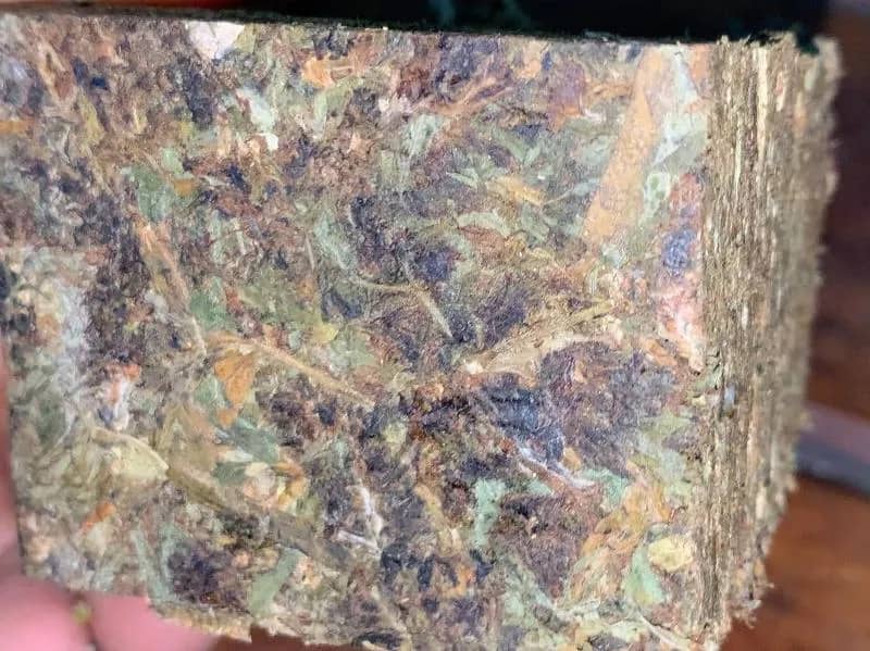 Imagem da campanha Ação de 25g🍁