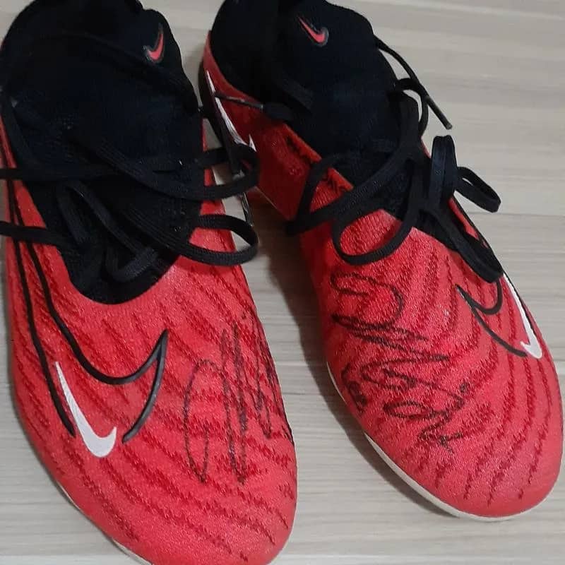 Imagem da campanha Laurinha rumo à Coréia.