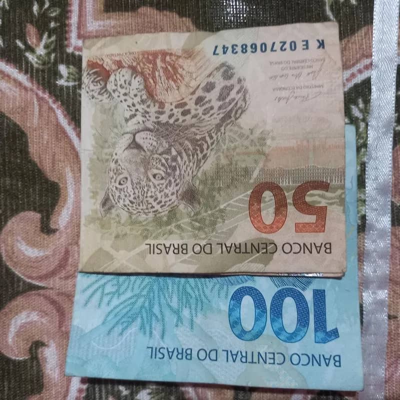 Imagem da campanha A compra de material para montar meu churrasquinho