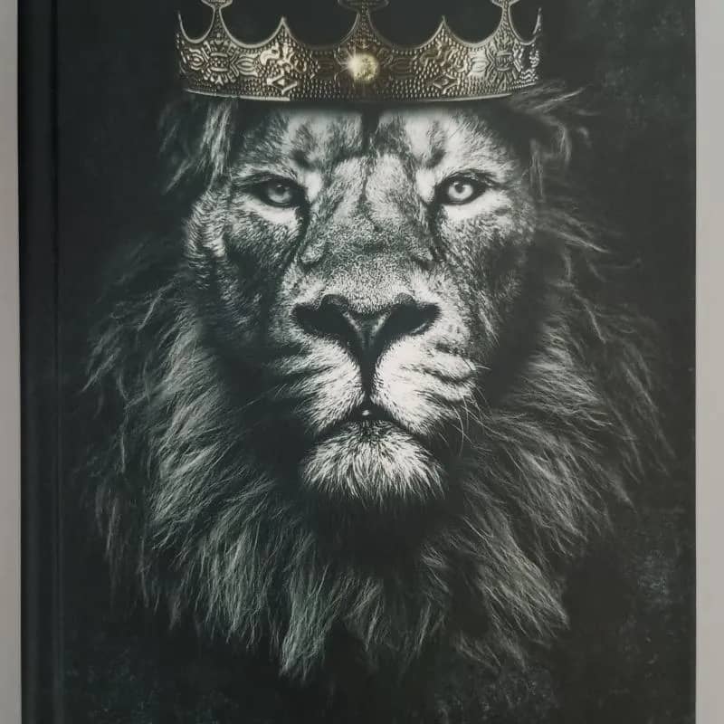 Imagem da campanha Geração Teen