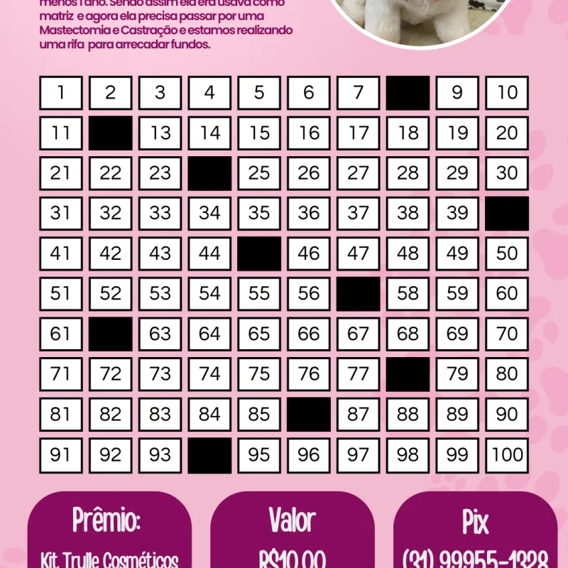 Imagem da campanha Rifa Solidária Lilica