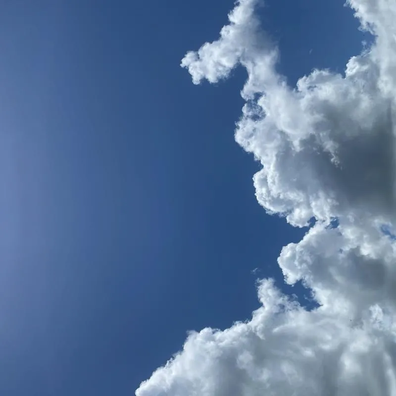 Imagem da campanha rifa teste