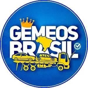 Imagem da campanha Rifa dos Gemeios Brasil