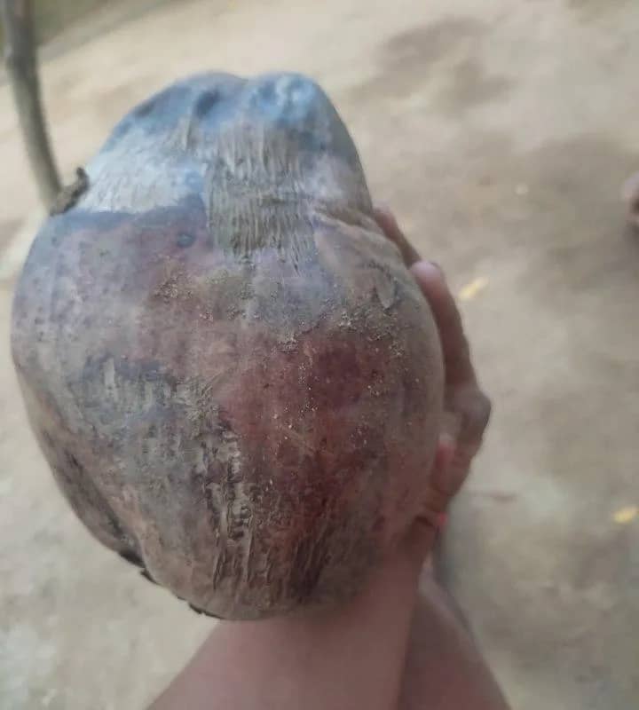 Imagem da campanha Rifa digital