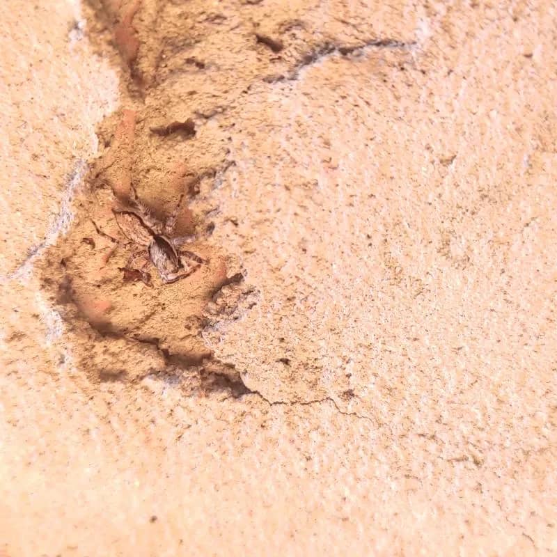 Imagem da campanha Achou ganhou