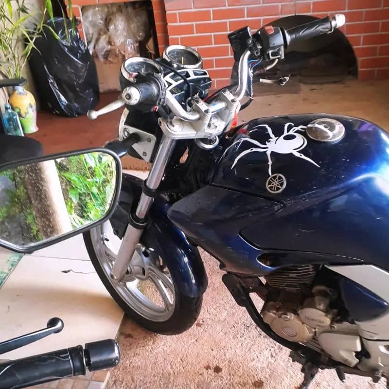 Imagem da campanha Fazer 250 ou 7 mil no pix