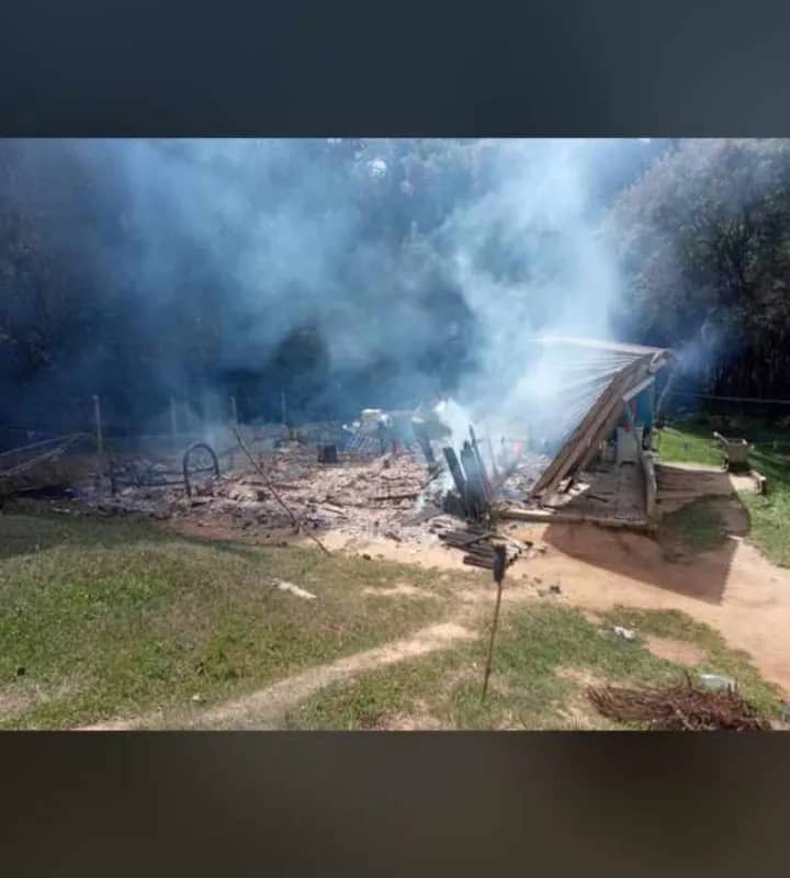 Imagem da campanha Carne