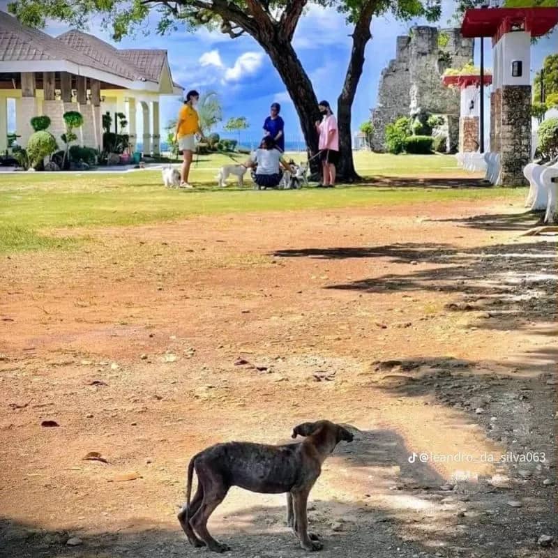 Imagem da campanha Teste