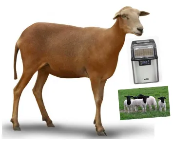 Imagem da campanha RIFA EM PROL DE BAIANO, PARA COLOCAÇÃO DE UMA PRÓTESE DEFINITIVA APOIADA TOTALMENTE SOBRE IMPLANTES