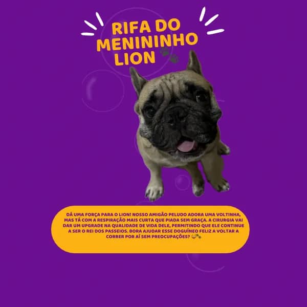 Imagem da campanha Rifa do menininho Lion