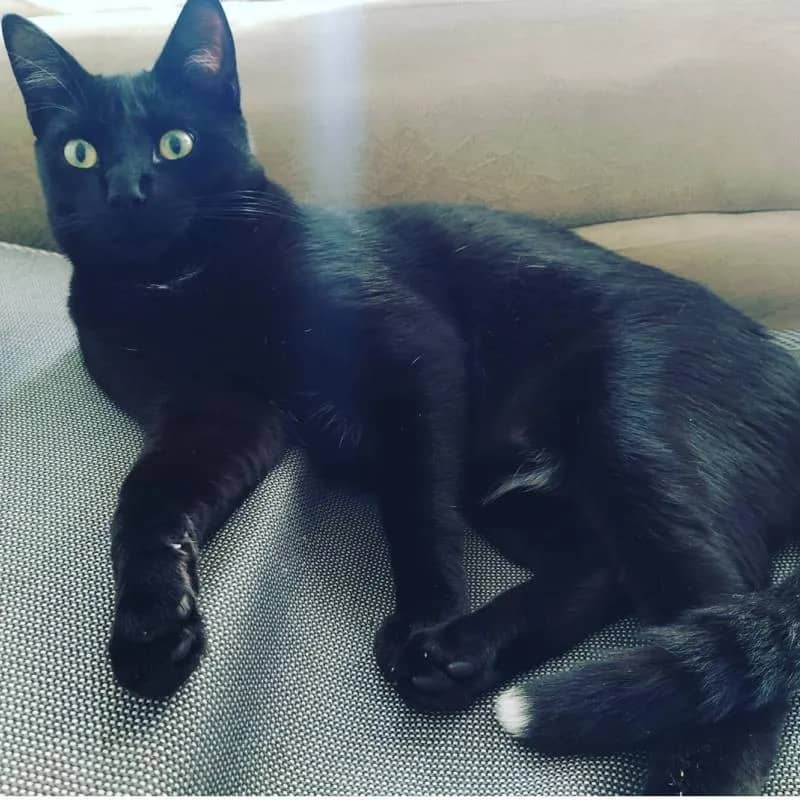 Imagem da campanha 200 reais em pix ou dinheiro