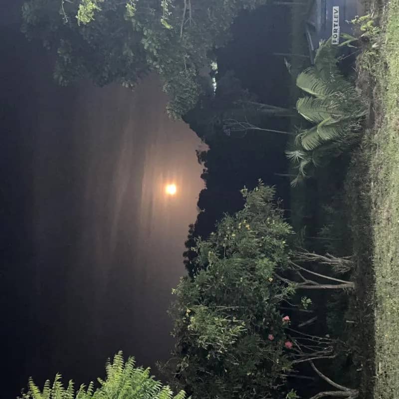 Imagem da campanha Sol