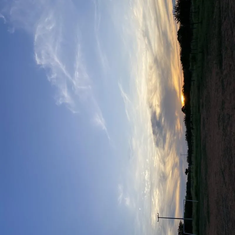 Imagem da campanha Missão Piauí