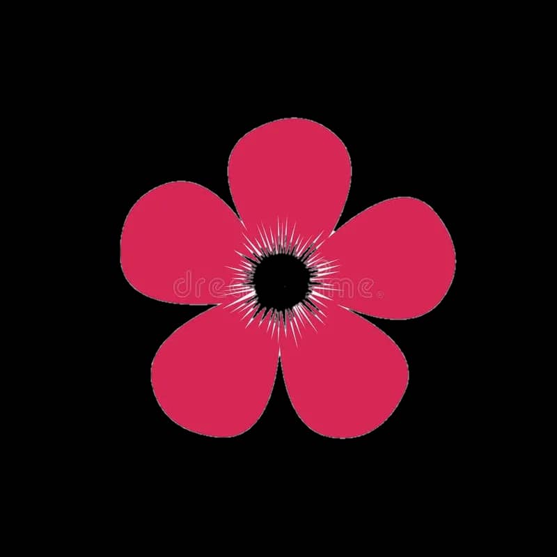 Imagem da campanha Rifa solidária