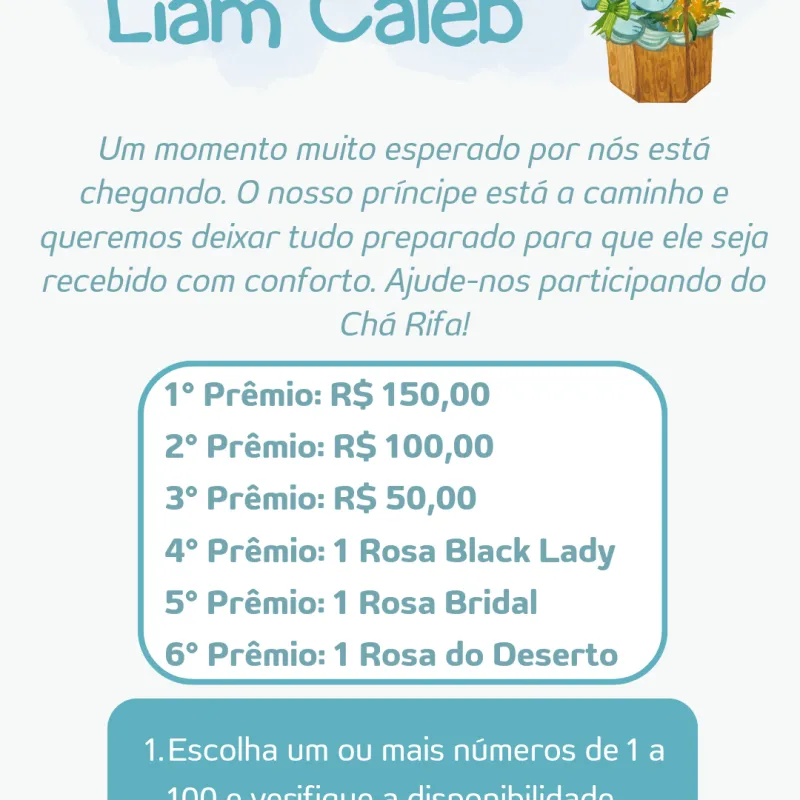 Imagem da campanha Chá Rifa do Liam Caleb