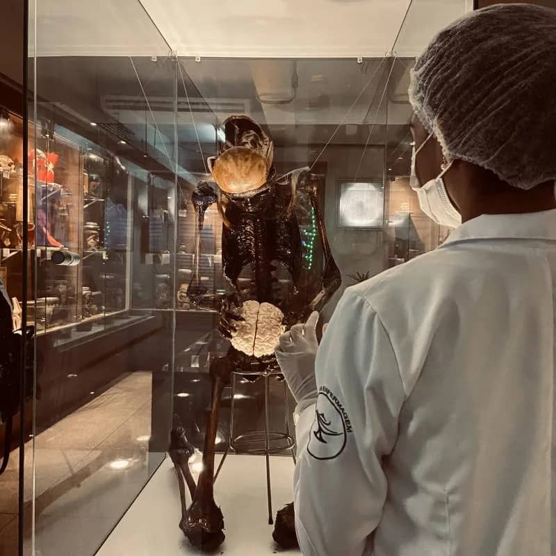 Imagem da campanha Formatura da Letícia