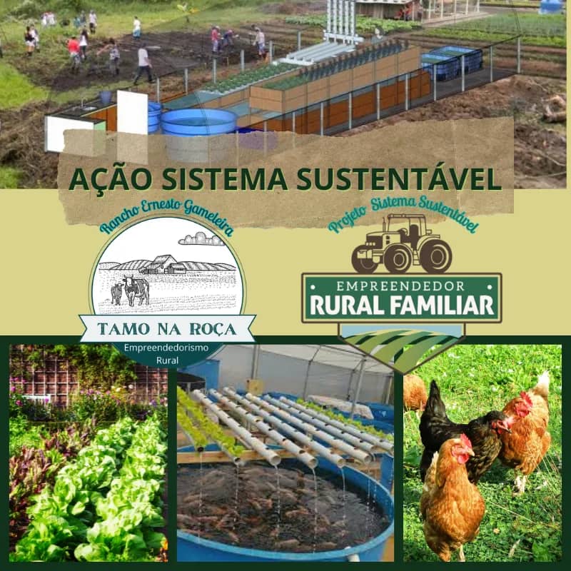 Imagem da campanha O SONHO DA ROÇA!