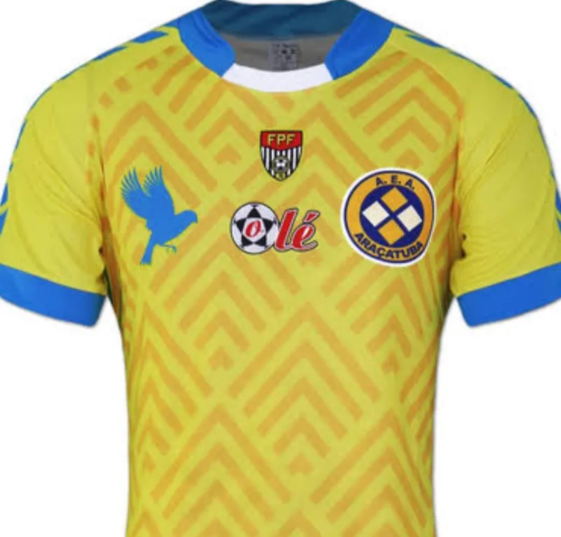 Imagem da campanha Camisa 2024