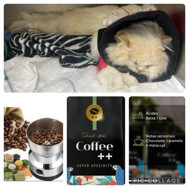 Imagem da campanha Ajude a humana do Jonas! 🙏🏻