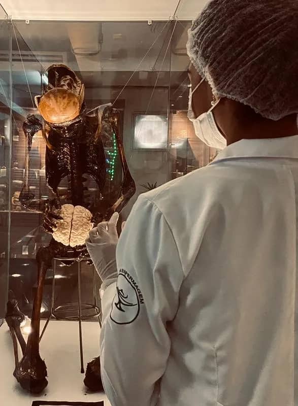 Imagem da campanha Formatura Da Letícia