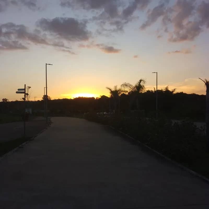 Imagem da campanha Rifa da Gih