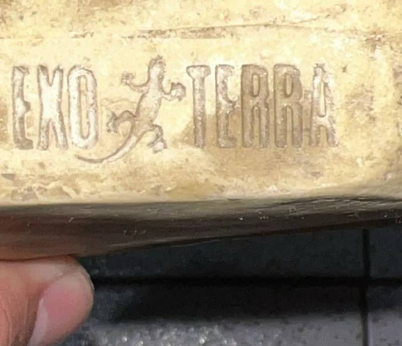 Imagem da campanha Toca exo terra