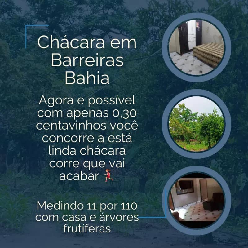 Imagem da campanha Chácara no Barrocão de baixo