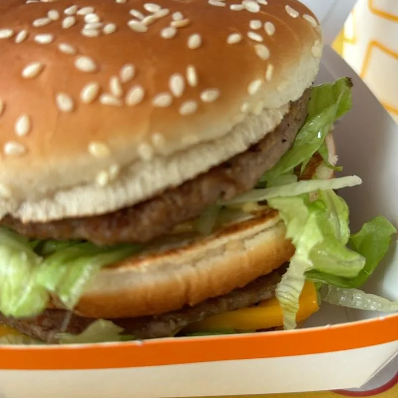 Imagem da campanha jsjsksks