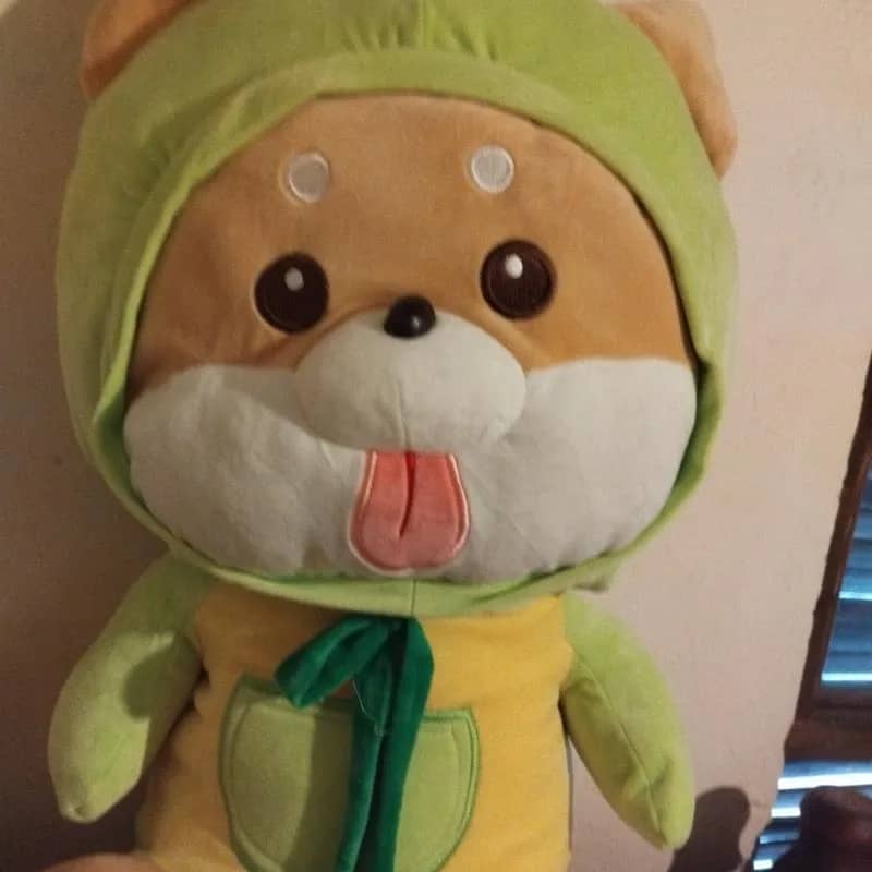 Imagem da campanha RIFA DA ALE