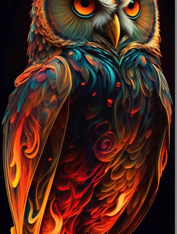 Imagem da campanha Cada bilhete 20