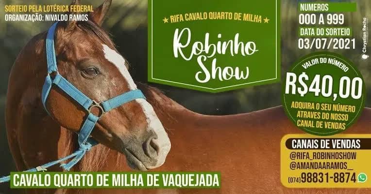 Imagem da campanha Juninho show
