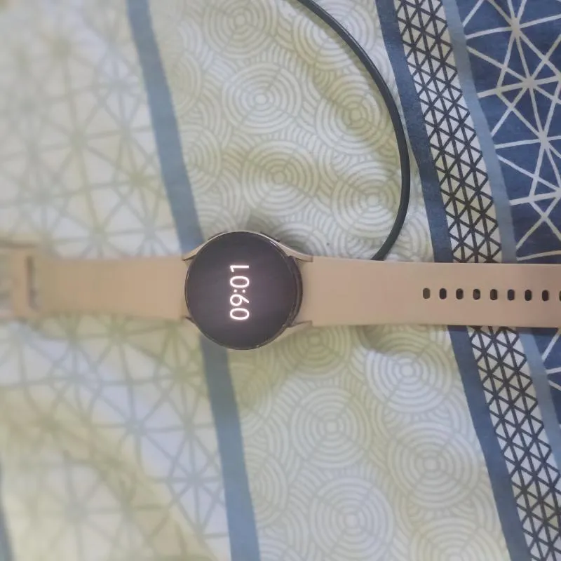 Imagem da campanha Rifa solidária 🐾