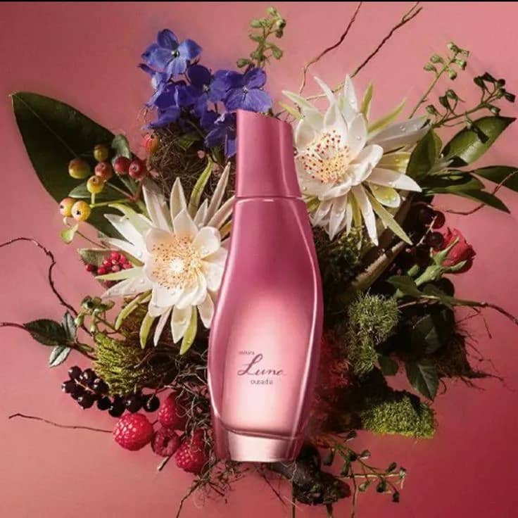 Imagem da campanha Construindo um Sonho