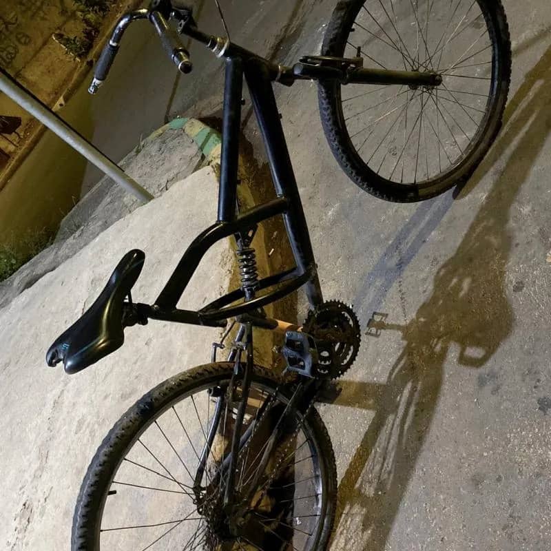 Imagem da campanha AÇÃOZINHA DO ROGERIO