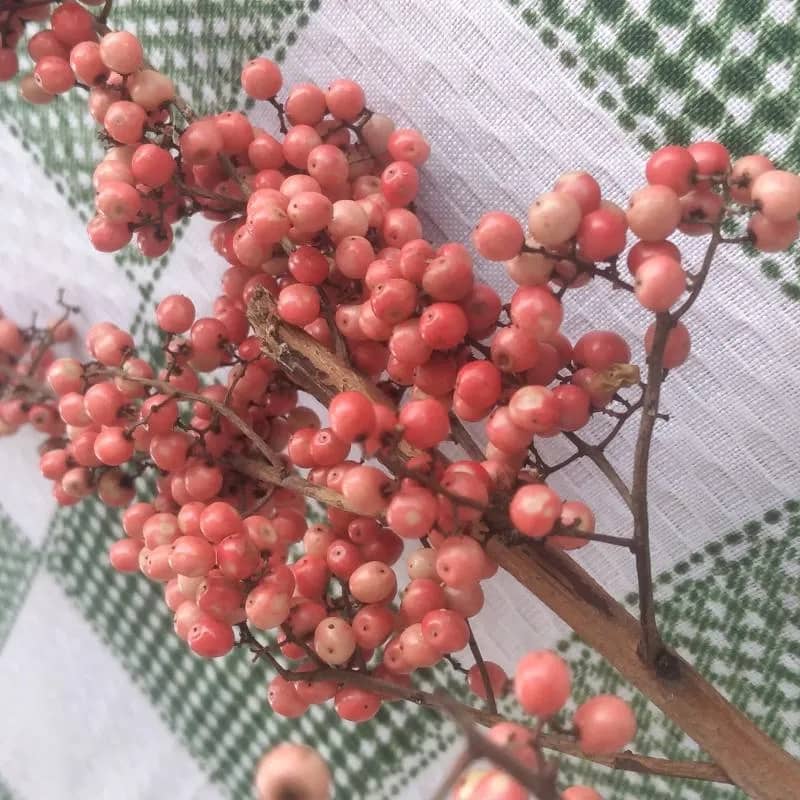 Imagem da campanha Teste