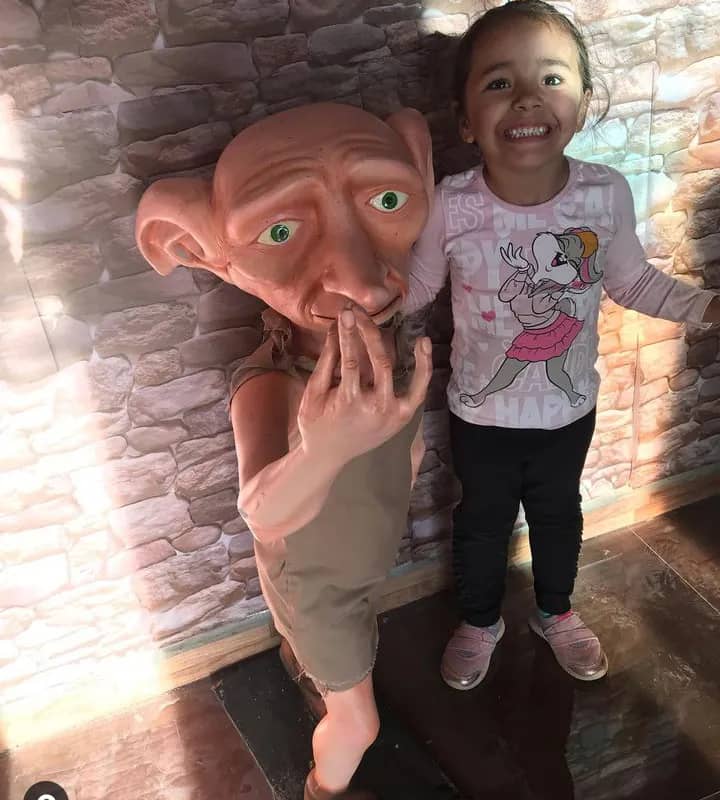 Imagem da campanha Estátua do Dobby tamanho Real