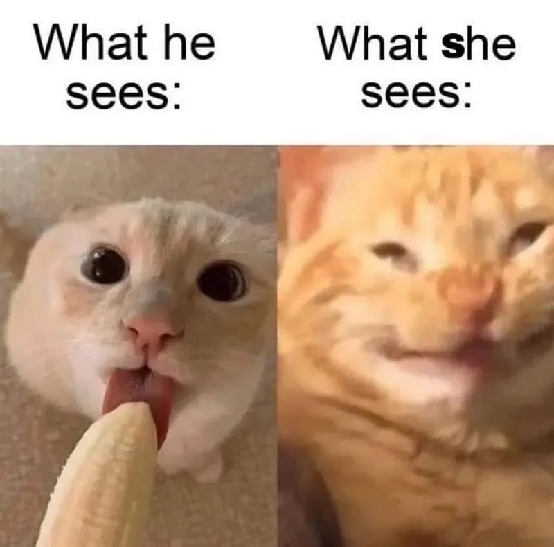 Imagem da campanha Ganhei