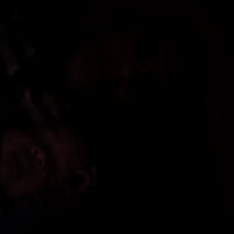 Imagem da campanha 2k no pix apenas 0.90 faça sua fezinha