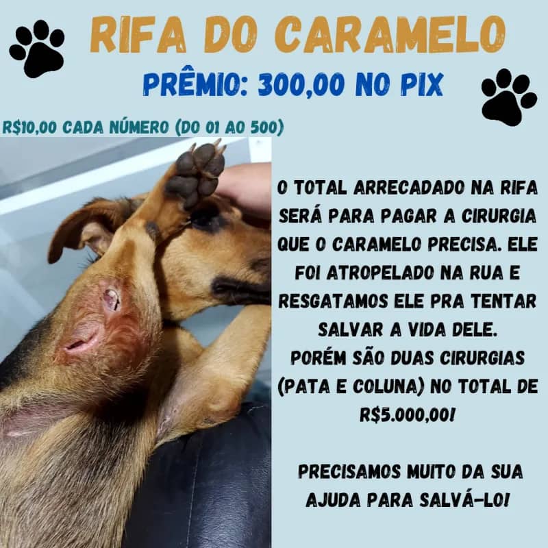 Imagem da campanha Rifa do Caramelo! Prêmio: R$300,00 no pix!