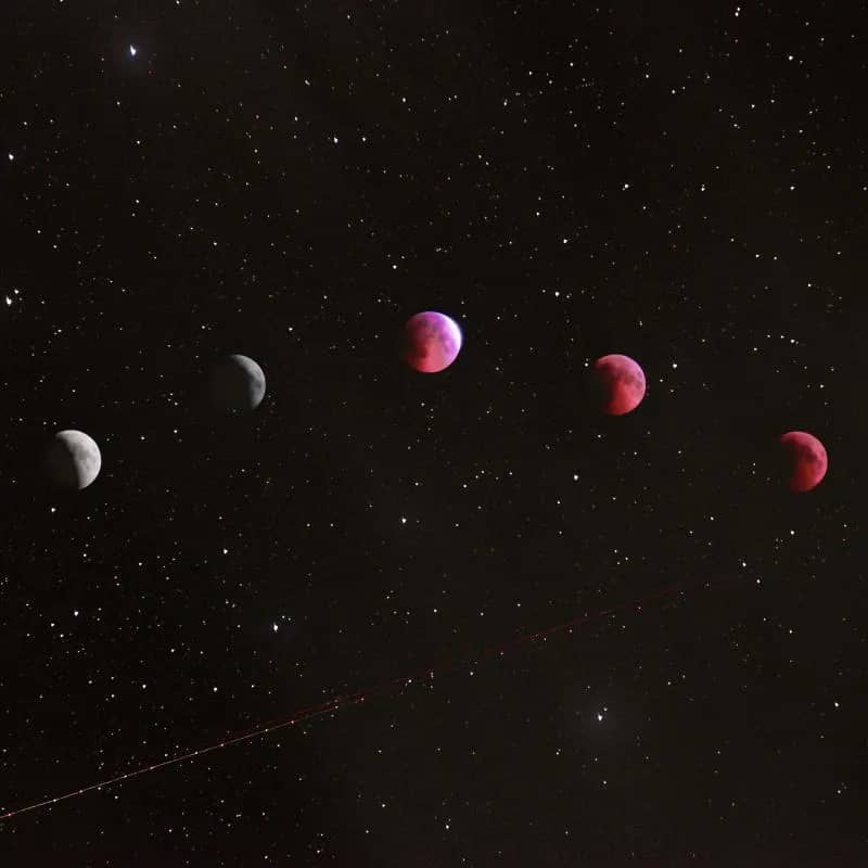 Imagem da campanha Saúde Mental para Mariana!