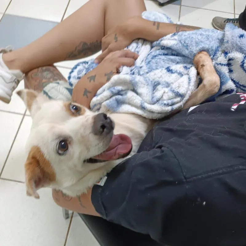 Imagem da campanha Rifa para ajudar o Negão