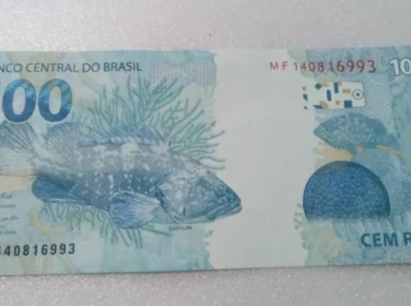 Imagem da campanha Rifa da Ayla lorena