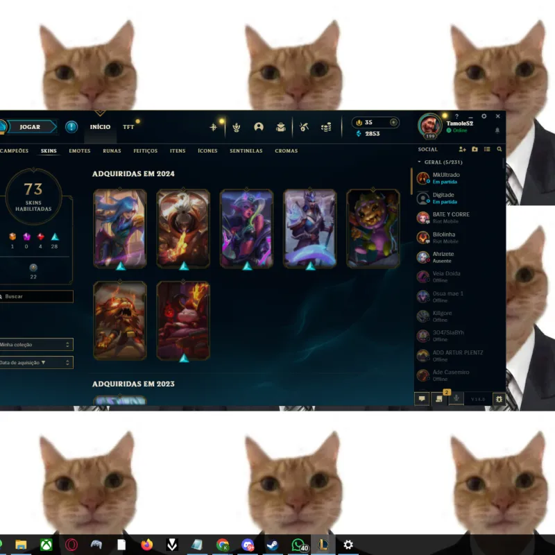 Imagem da campanha comta league of legends LVL 199 com 73 skin habilitadas