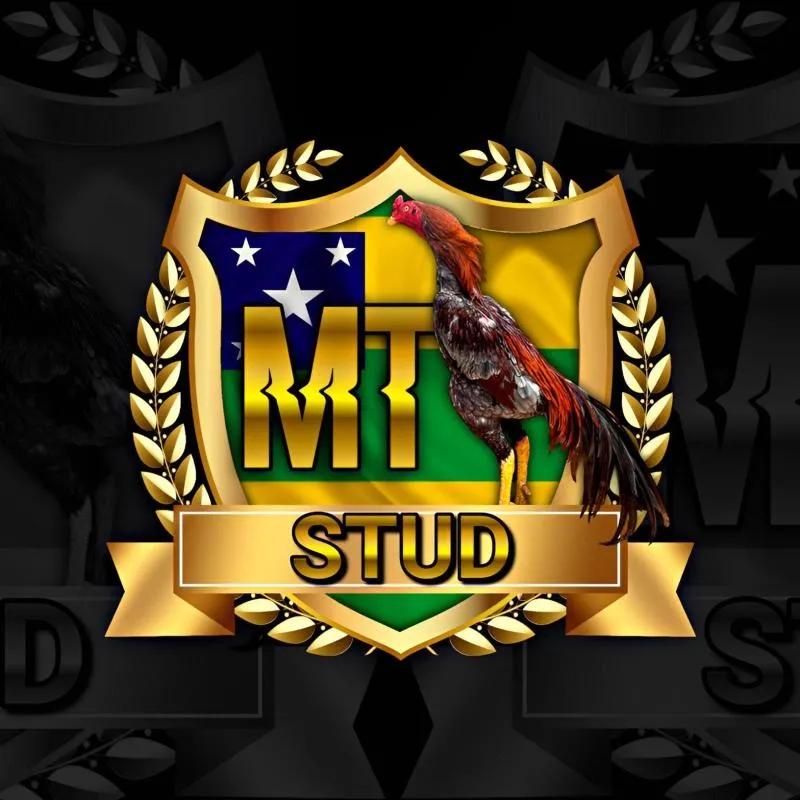 Imagem da campanha Stu Tenorio