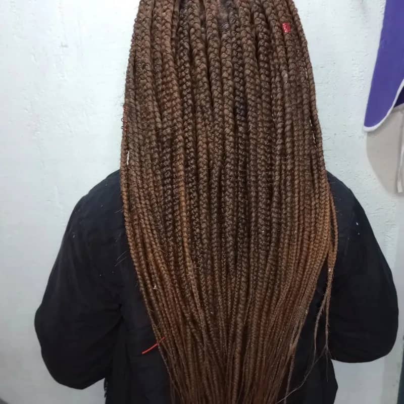 Imagem da campanha Trança Afro