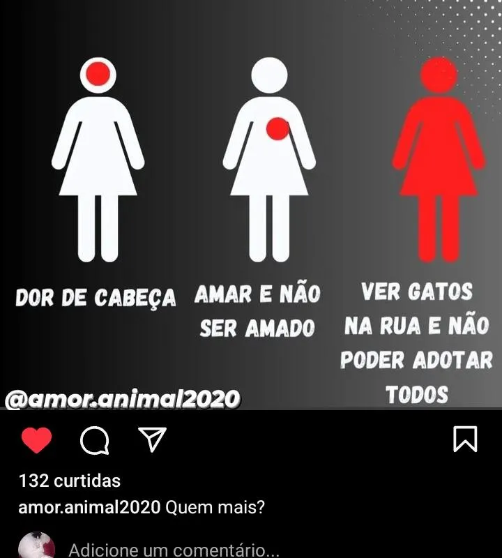 Imagem da campanha Gatinhas da cidade das crianças