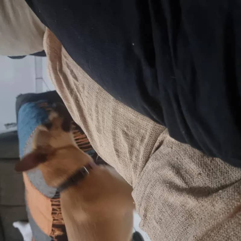 Imagem da campanha Teste