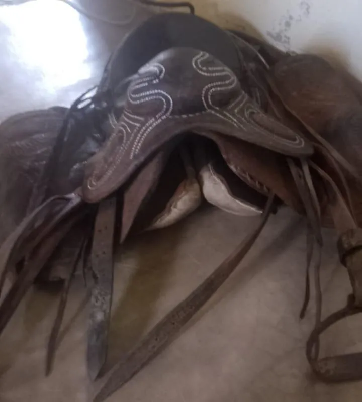 Imagem da campanha Uma sela boa