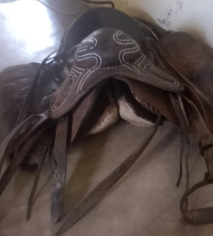 Imagem da campanha Sela de campo pra vcs turma✅