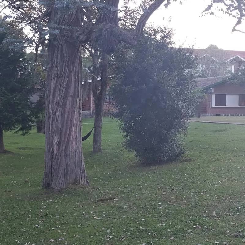 Imagem da campanha Novo